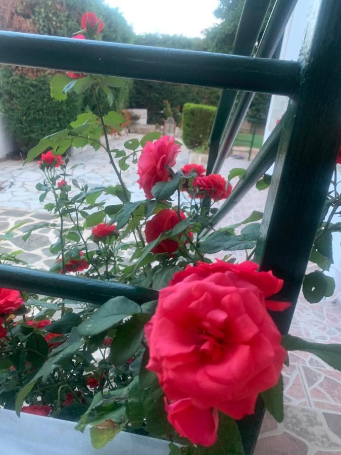 Apartamento Marble Ksamil
